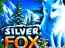 Игровые автоматы Silver Fox