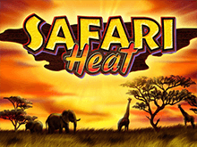 Игровой автомат Safari Heat