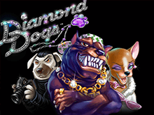 Играть в Diamond Dogs на деньги