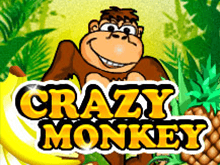 Автомат Crazy Monkey на деньги