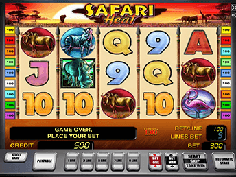 Safari Heat - игровые автоматы 