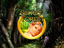 Secret Forest от Вулкана Делюкс