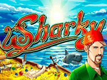 Sharky через вход в клуб