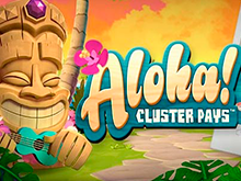 Популярный онлайн-слот Aloha Cluster Pays — шанс сорвать реальный куш!