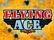 Диапазон ставок в игровом автомате Flying Ace