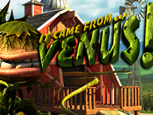 Виртуальный автомат в Делюкс It Came From Venus
