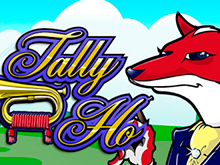 Играть онлайн с выводом из казино в Tally Ho